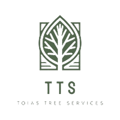 Toias Tree Services